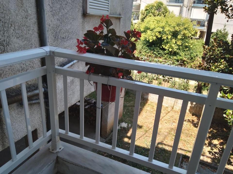 Little Beauty - Happyhostgr - In Platamonas Apartamento Exterior foto