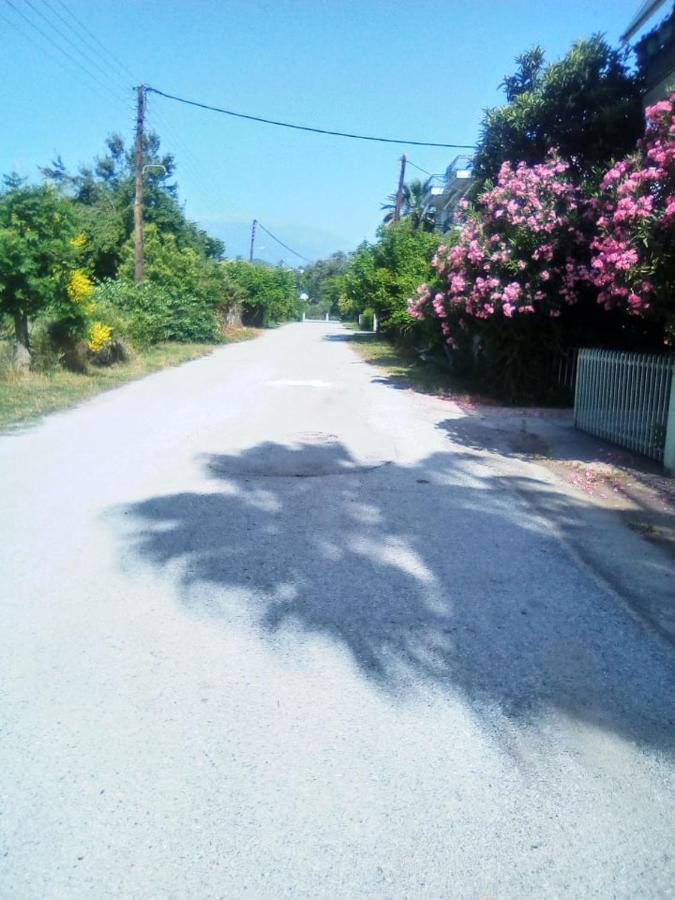 Little Beauty - Happyhostgr - In Platamonas Apartamento Exterior foto